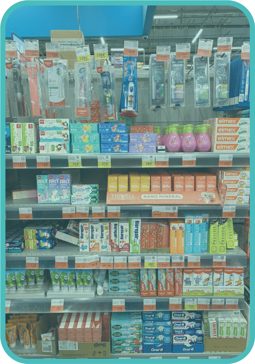 Mobirise Website Builder